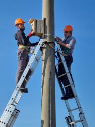Installation_of_nest_boxes_for_the_European_Roller_in_Bulgaria