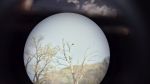 F.1.2_Study_visit_HR_SK_09-11_04_2025_4