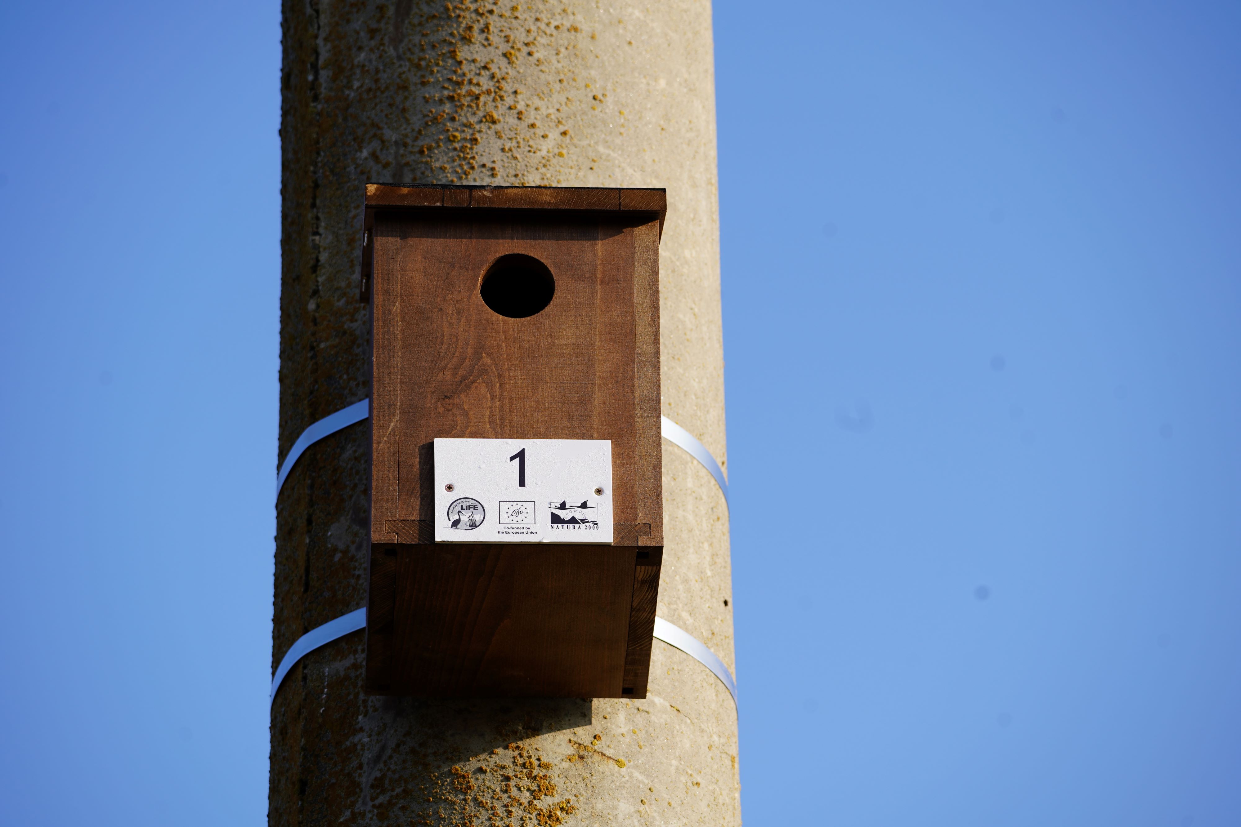 NEST BOXES FOR THE EUROPEAN ROLLER WERE INSTALLED IN ROMANIA