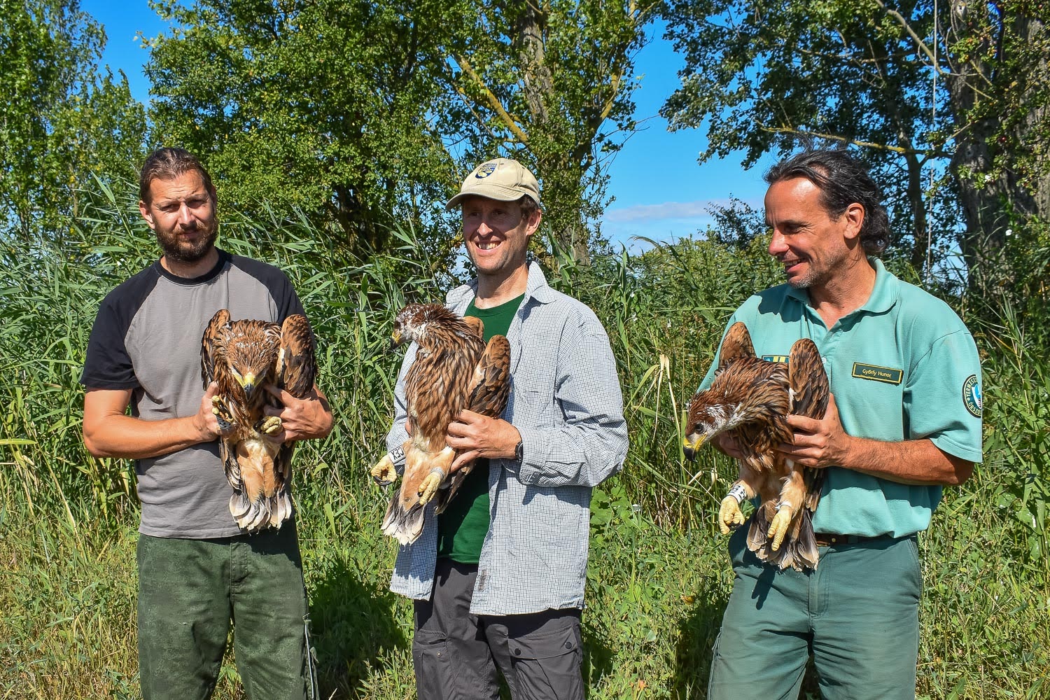 SATELLITE TRANSMITTERS ON HUNGARIAN IMPERIAL EAGLES