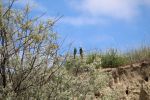 Foto_12