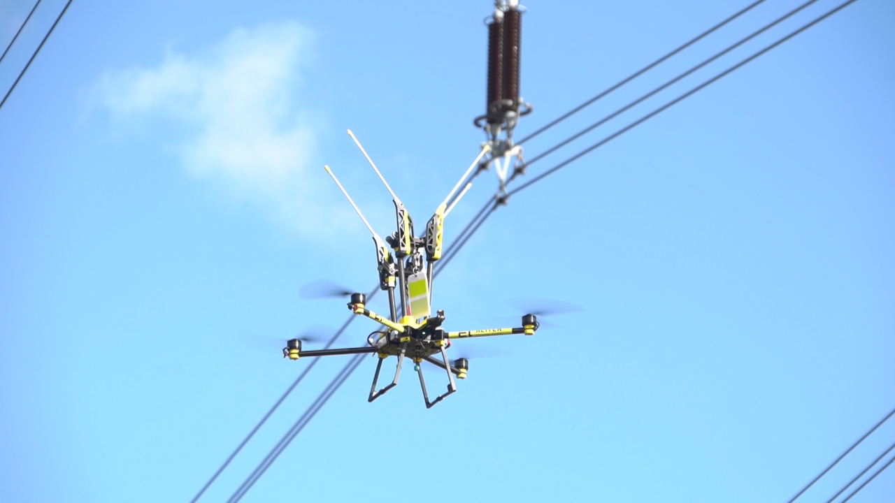 INSTALLATION OF FLIGHT DIVERTERS ON TRANSMISSION LINES IS BEING FINALIZED IN SLOVAKIA