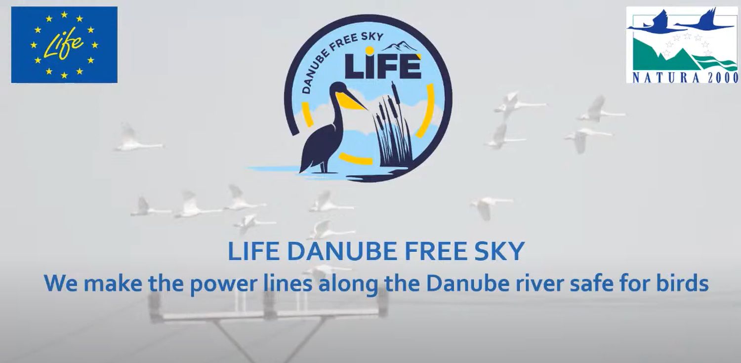 First slide of the presentation LIFE Danube Free Sky