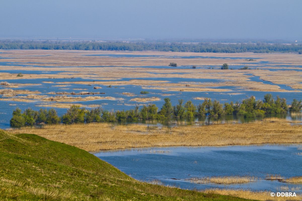 Picture of the beautiful Danube Delta parches area