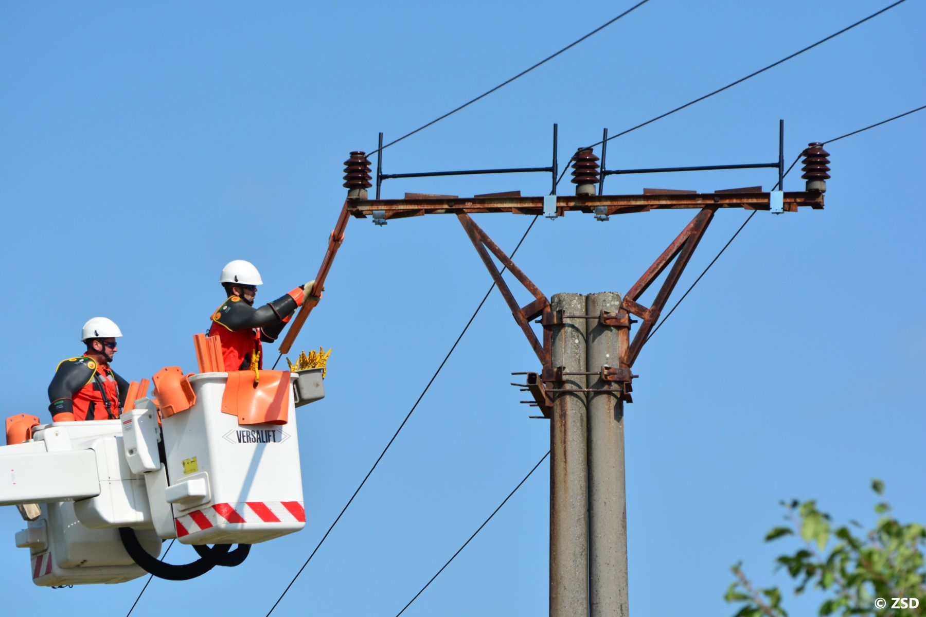 Installation of the equipment for the safe bird perching on the utility pole