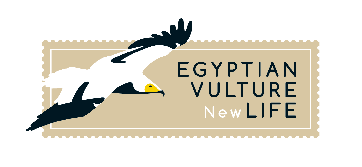 Egyptian Vulture New LIFE